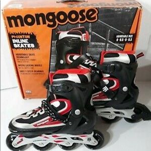 Phantom Inline Skates